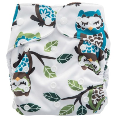 Fancypants All-In-One Cloth Nappy - Hoot
