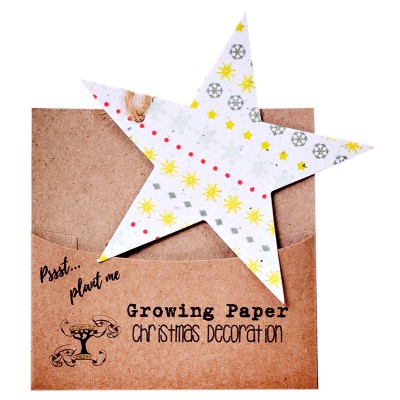 Growing Paper Christmas Decorations - Star