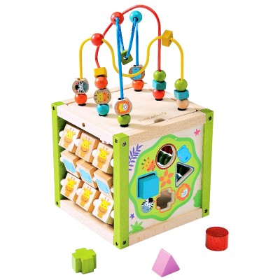 EverEarth My First Activity Cube