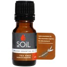 Soil Tea Tree Essential Oil
