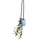 Growbag Hanging Blue Planter