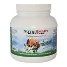 NutriSmart Protein Chocolate Whey Protein Powder