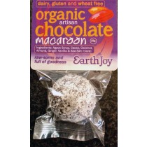 EarthJoy Organic Raw Chocolate Macaroons