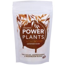 Good Life Organic CacaoBoost - Raw Cacao + Ashwagandha + Mushroom Blend