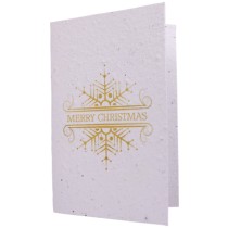 Growing Paper Card Merry Christmas Gold
