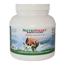 NutriSmart Protein Chocolate Whey Protein Powder