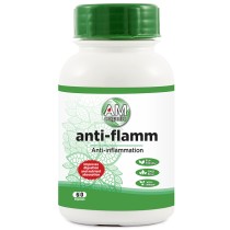 Amorganic Anti-Flamm