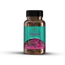 Sfera Coleus Forskohlii