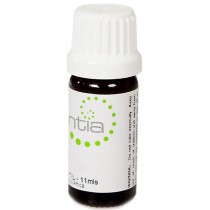 Escentia Cassia Essential Oil 