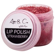 Homespun Apothecary Lip Polish