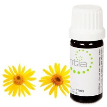 Escentia Arnica (Undiluted) 11ml
